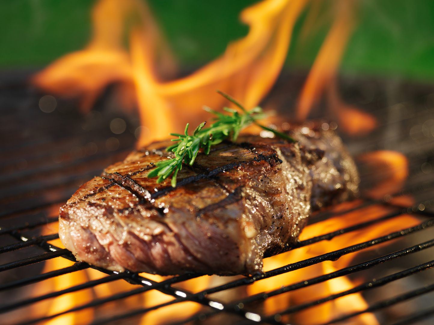 Grilled Steak